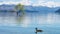 An iconic lone tree of lake Wanaka one of the most tourist attraction place in south island of New Zealand.