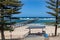 The iconic pine trees and the jetty on a rough day at port noarlunga south australia on december 1st 2020