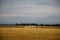 Iconic prehistoric monument Stonehenge in Salisbury Plain, UK, a wonder of the ancient world