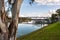 An iconic red gum tree on a calm river murray located in the river land at Berri South Australia on 20th June 2020