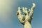 Iconic Saguaro Cactus Tree. image cross processed