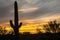 Iconic Saguaro Sunset