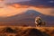 Iconic savanna scene, lion\\\'s portrait with Mount Kilimanjaro at sunset