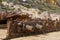 The iconic shipwreck of the SS Ferret and Ethel had the sand uncovered by a large storm on Ethel Beach, Yorke Peninsula, South Au