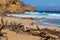 The iconic shipwreck of the SS Ferret and Ethel had the sand uncovered by a large storm on Ethel Beach, Yorke Peninsula, South Au