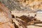 The iconic shipwreck of the SS Ferret and Ethel had the sand uncovered by a large storm on Ethel Beach, Yorke Peninsula, South Au