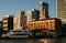 Iconic skyline of traditional Downtown Ferry Terminal and high-risers on urban shore at sunrise in Auckland CBD, New Zealand 