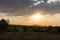 Iconic sunset scene over the Masaai Mara Reserve in Kenya