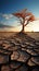 Iconic tree on cracked soil embodies climate crisis, global warming induced water scarcity