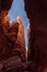 Iconic Wall Street gorge in the Bryce Canyon valley in Utah