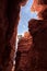 Iconic Wall Street gorge in the Bryce Canyon valley in Utah