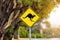 Iconic yellow and black sign warning of kangaroos in the vicinity. Australian urban scene with eucalyptus trees in sunlight