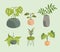 icons collection potted plants