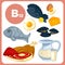 Icons food with vitamin B12.