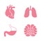 Icons of Human Organs. Heart, Lungs, Stomach, Brains