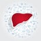 Icons For Medical Specialties. Hepatology And Liver Concept. Vector Illustration With Hand Drawn Medicine Doodle.