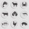 Icons Set -Animal, Meat, Seafood