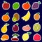 Icons Stickers of fruit with a white outline, in a set on a dark background.