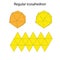 Icosahedron with net. Regular polyhedron. Vector illustration