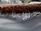 Icy branches above chilling stream. Reflections in icicles