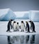 Icy Conference: Penguin Gathering