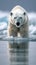 Icy encounter Majestic polar bear roams the frozen expanses of Svalbard