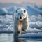 Icy encounter Majestic polar bear roams the frozen expanses of Svalbard