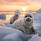 Icy Illusion - Seals Playfully Peeking Out from Broken Ice Sheets