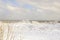 Icy Lake Michigan Waves Beyond Barren Branches in Chicago