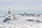 Icy North Avenue Pier, Lighthouse and Dever Water Crib