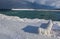 Icy Park Bench With Pier In Background