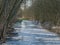 icy path through a sunny winter forest in the flemish countryside