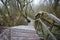 Icy  rickety walkway over a swamp