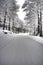 Icy rural road through forest