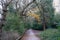 Icy weather conditions in winter in Jesmond Dene, a public park in Newcastle upon Tyne, UK