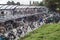 Icycle park stand rack area with shelter.  Many bikes in rows locked and parked