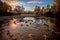 Idaho Boise River with fall leaves at sunrise