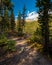 Idaho mountain lake trail in the fall