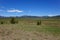Idaho Mountain Meadow