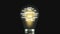 Idea bulb with business words inside close view