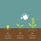 Idea bulb seed, watering can, dollar plant infographic. Financial growth concept. Flat design.