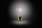 Idea concept -   light bulb on the black background