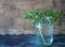 The idea of spring planting and growing parsley greens. Parsley sprouts with root standing in a jar of water on a wooden