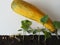 The idea of sprouting seeds from seeds to pumpkin or zucchini sprouts. Sprouted seeds with zucchini fruit on a white wooden