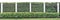 Ideal accurate green fence from coniferous evergreen plants and