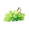 Ideal green fresh grape, isolated on a white background, generative AI