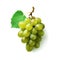 Ideal green fresh grape with leaf top view, isolated on a white background, generative AI