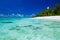 Ideal snorkeling beach with coral and palm trees