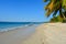 Ideal travel destination: splendid exotic beach, bright blue ocean water, pure sand beach and palm trees