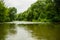 Idealistic landscape of fresh river with calm water in the forest